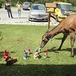 Solisko Hotel Strbske Pleso