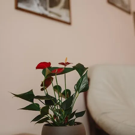 Solisko Hotel 4*