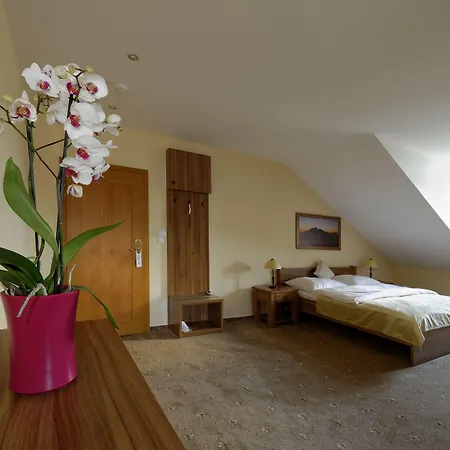 酒店 索里斯科酒店 4*