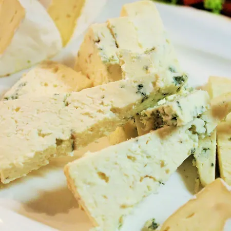 酒店 索里斯科酒店