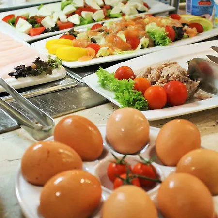 索里斯科酒店 酒店 4*